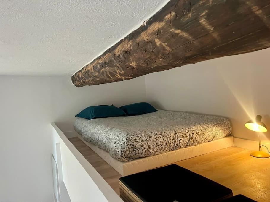 Thelma Boheme Appartement Montpellier